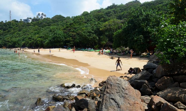 Jungle beach unawatuna